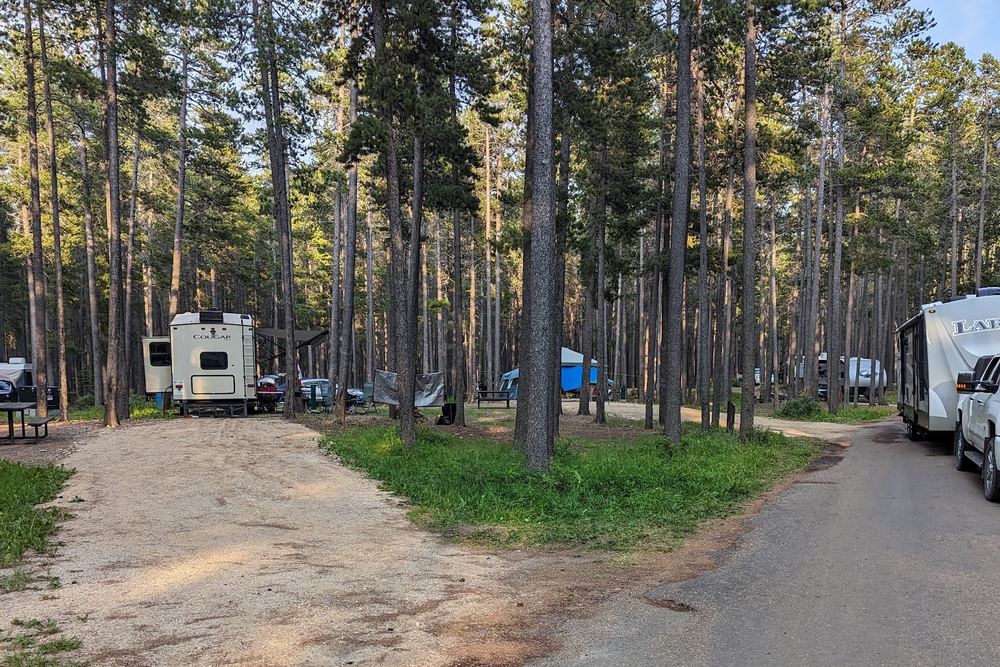 Cypress Hills campsite at Rainbow Campground