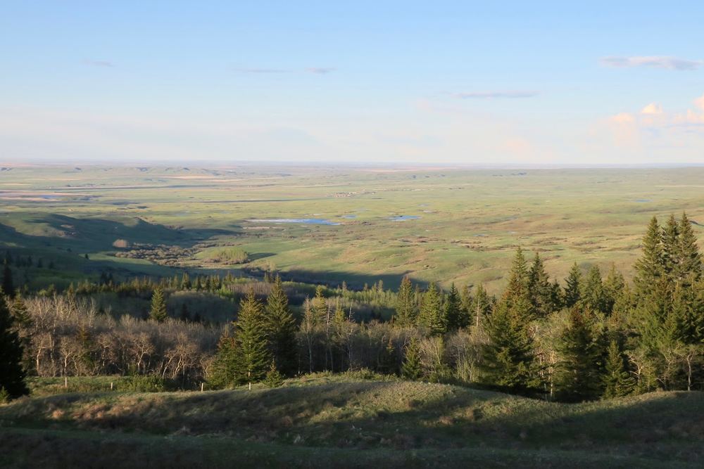 Cypress Hills Interprovincial Park - Alberta