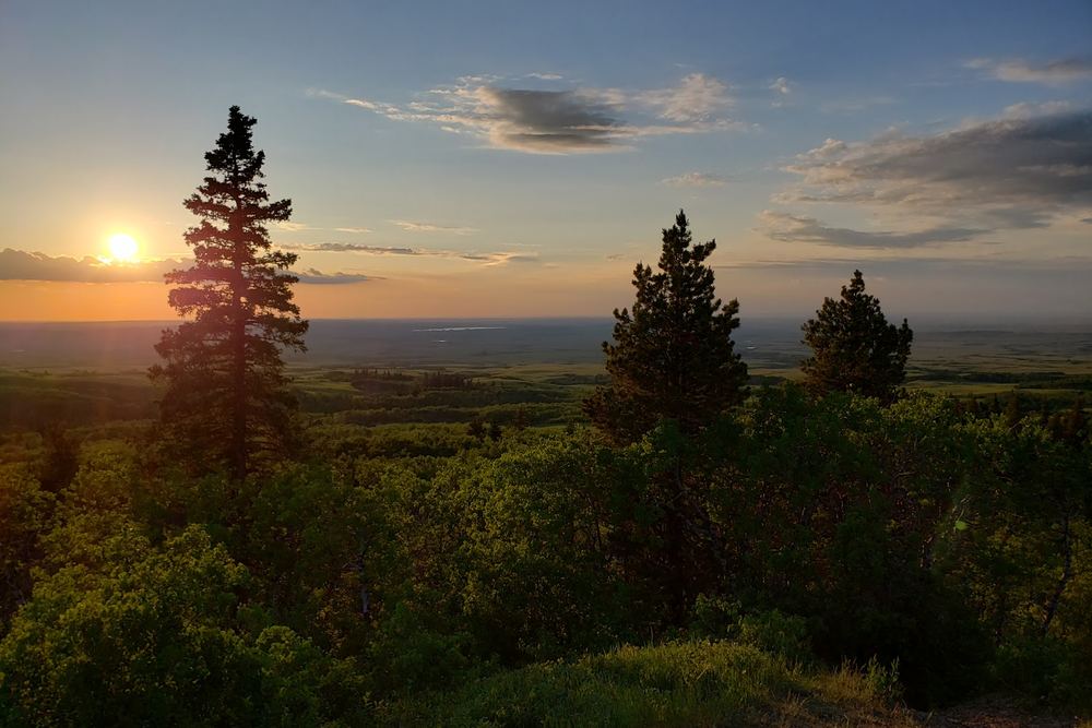 Cypress Hills Interprovincial Park - Saskatchewan