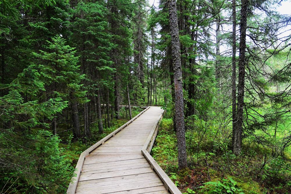 Duck Mountain Provincial Park