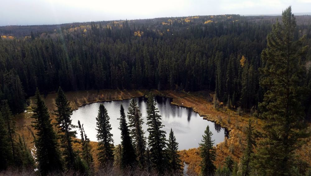 Small lake ringed by boreal forest in Narrow Hills Provincial Park