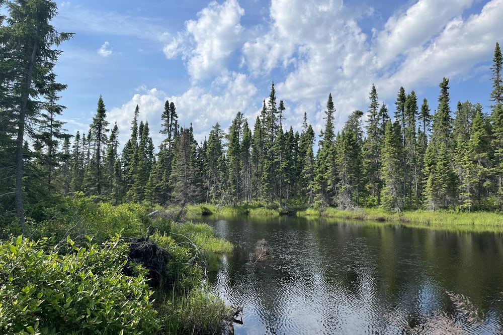 Parc National de la Pointe-Taillon
