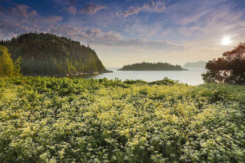 Parc national du Bic