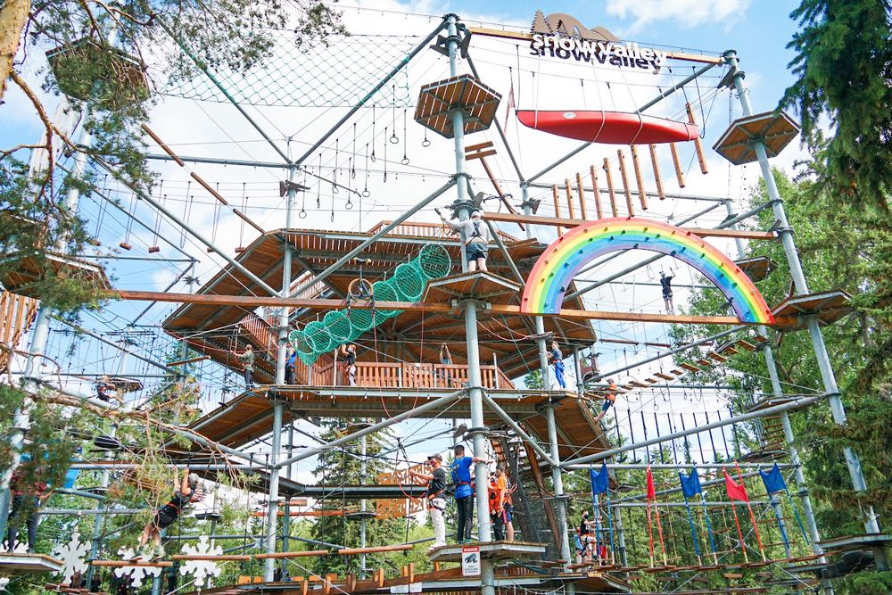 Snow Valley Aerial Park