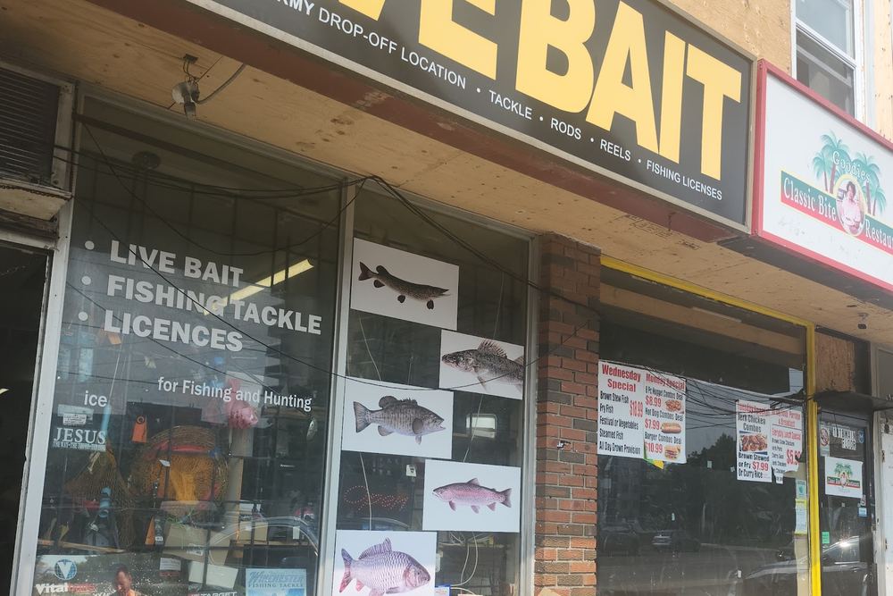 All Nation Fishing Shop - Live Bait & Fishing Tackle Toronto