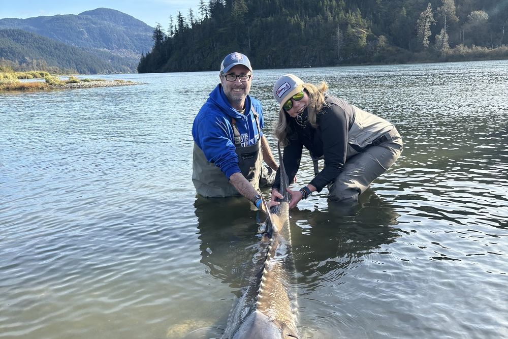 BC Sportfishing Group