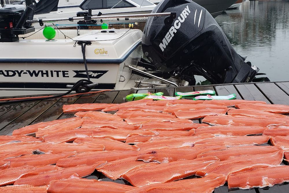 Bon Chovy Fishing Charters