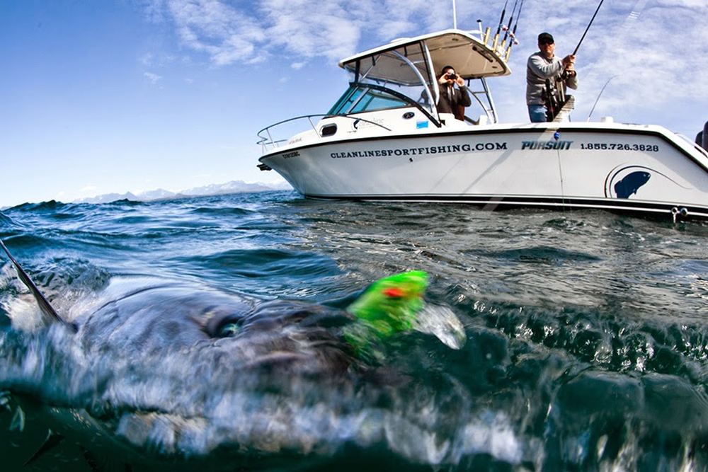 Cleanline Sportfishing Charters