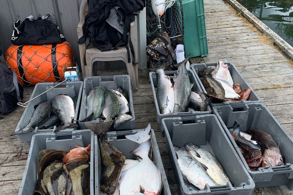 Codfather Charters Ltd