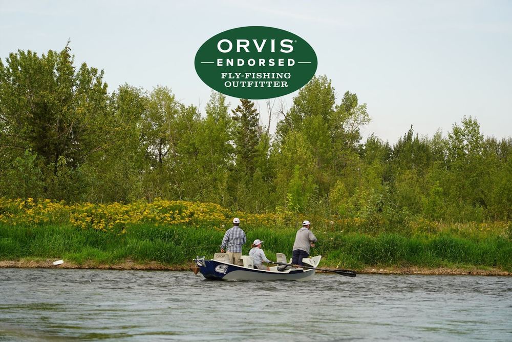 Dave Brown Outfitters- Orvis Endorsed Bow River Fly-Fishing Guides