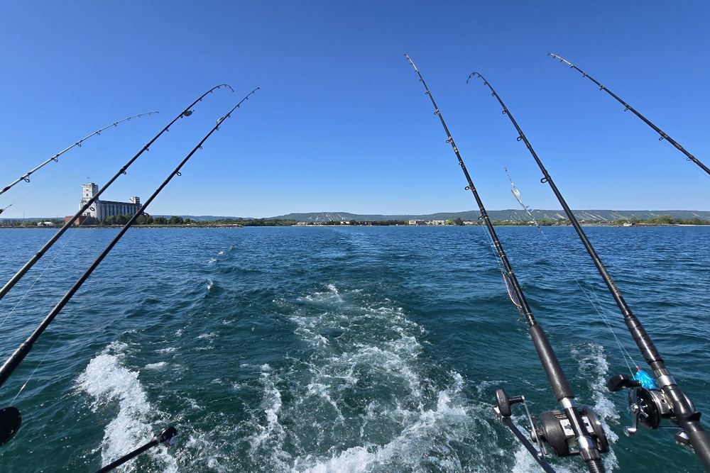 Five Star Fish and Cruise