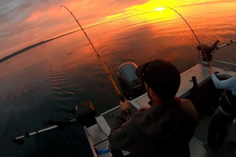 Franklin Fishing Charters