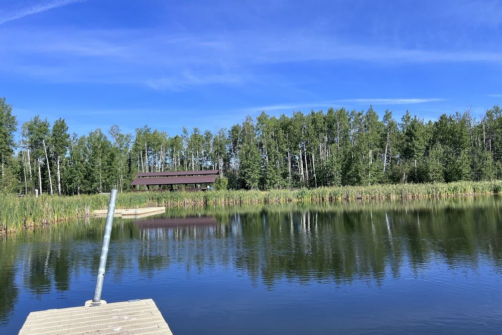 Grovedale Fish Pond