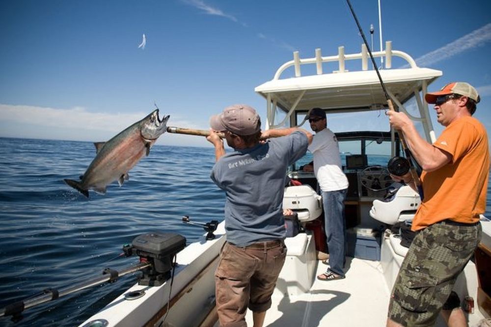 Jaynes addiction charters