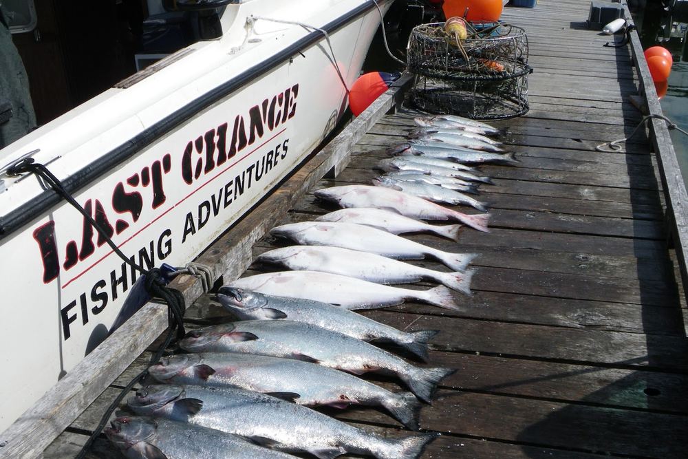 Last Chance Fishing Adventures