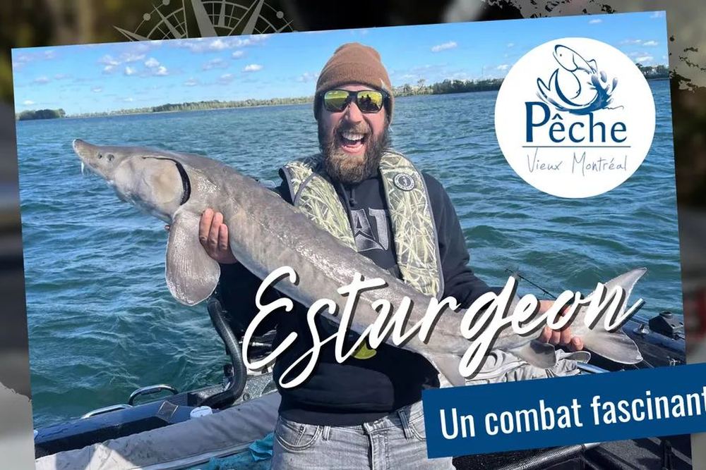 Old Montreal Fishing, Fishing Guide
