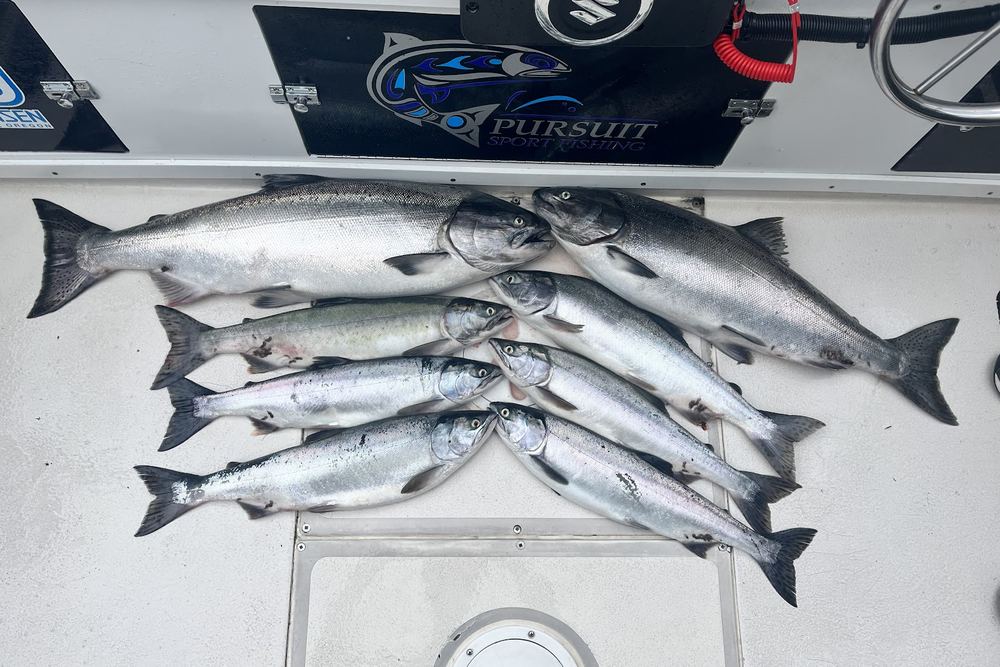 Pursuit Sport Fishing Charters