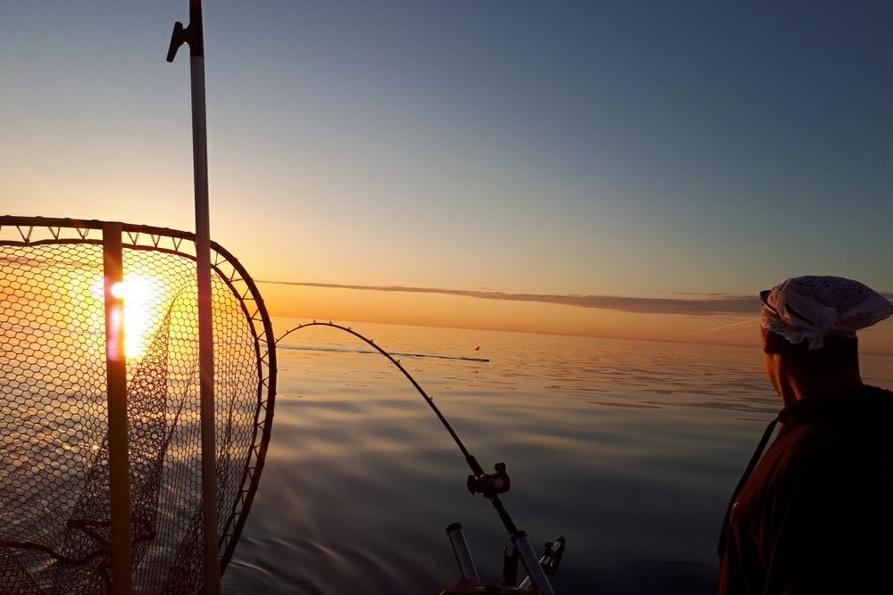 Scales and Tales Sportfishing Inc.