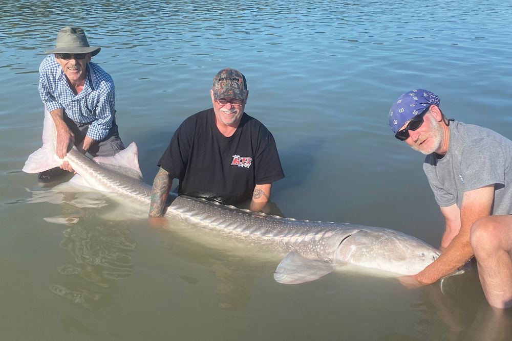 Silversides Fishing Adventures
