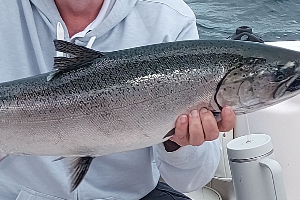 Tall-Tale Charters