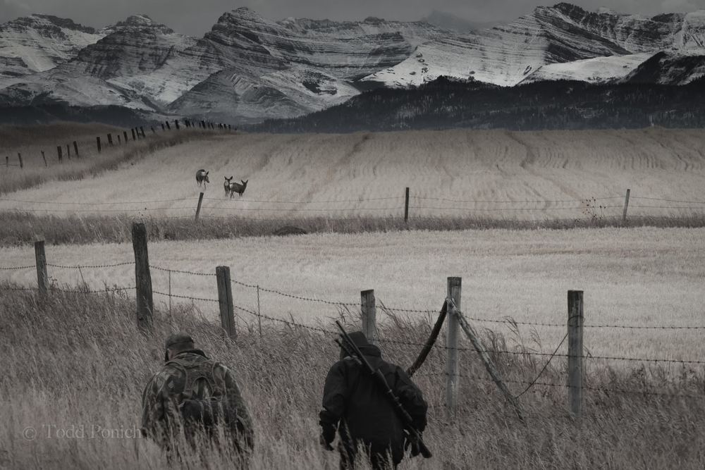 Alberta Hunter Education Instructors' Association (AHEIA)