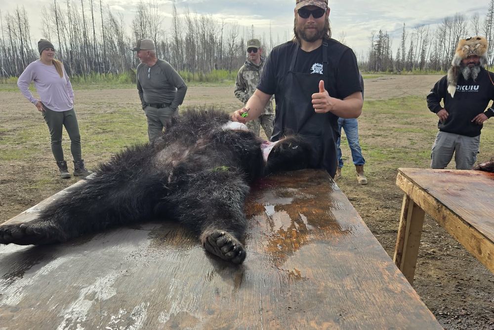 Canadian Premier Hunts