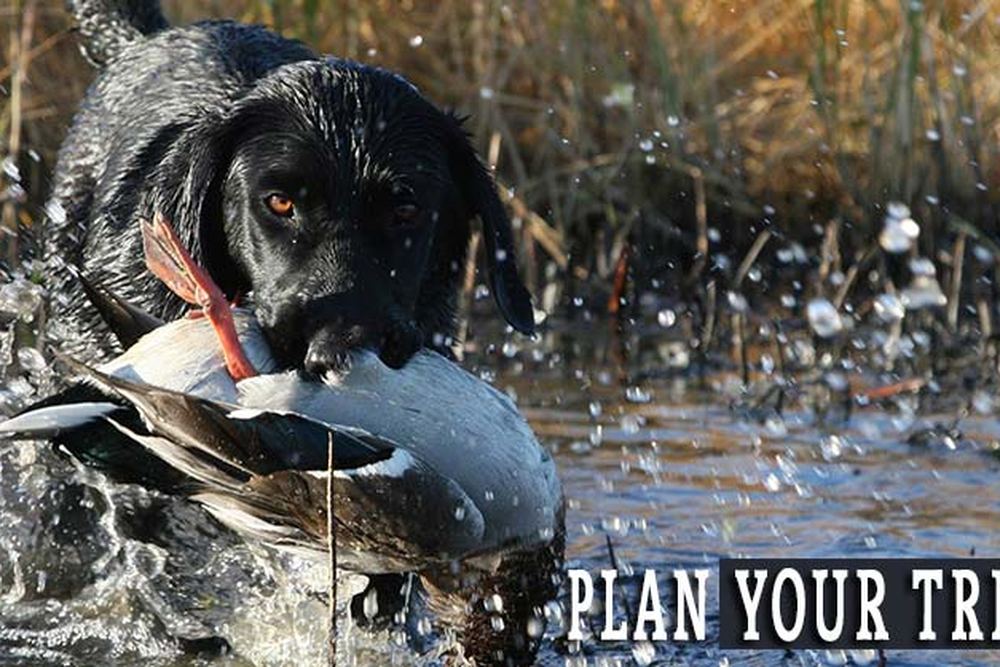 Prairies Edge Outfitting