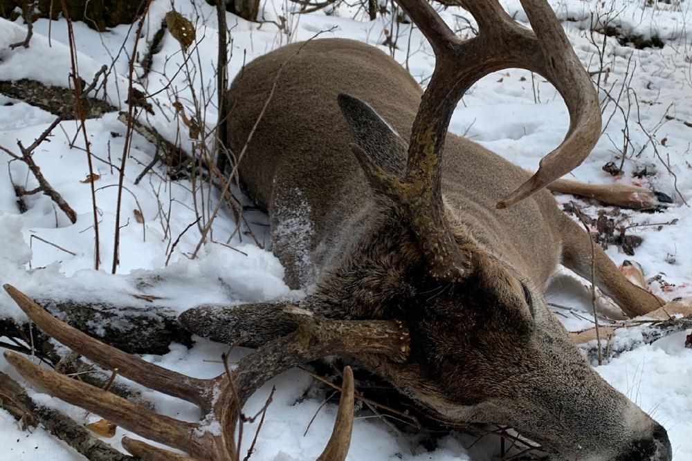 Saskatchewan Big Buck Adventures LTD.