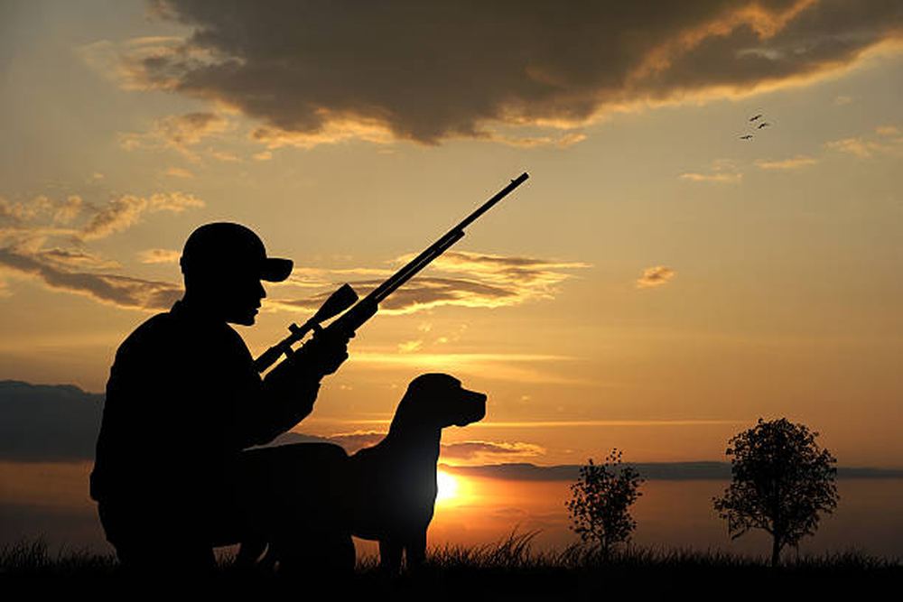 Sudbury Firearms and Hunter Education