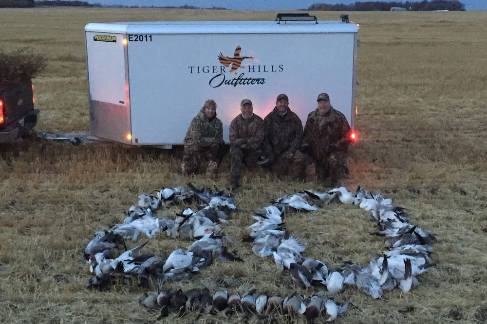 Tiger Hills Outfitting