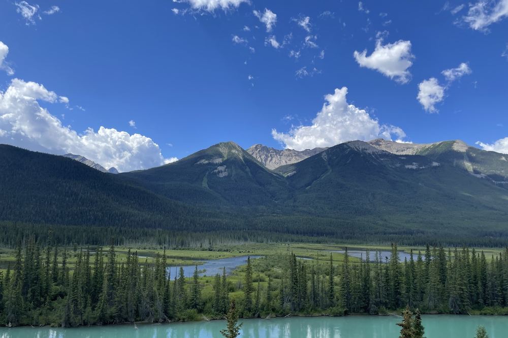 Backswamp Viewpoint