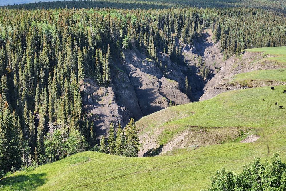 Bighorn Lookout
