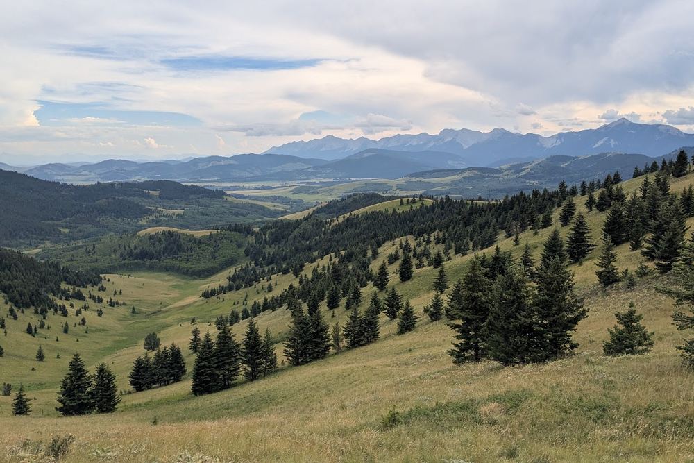 Bob Creek Wildland