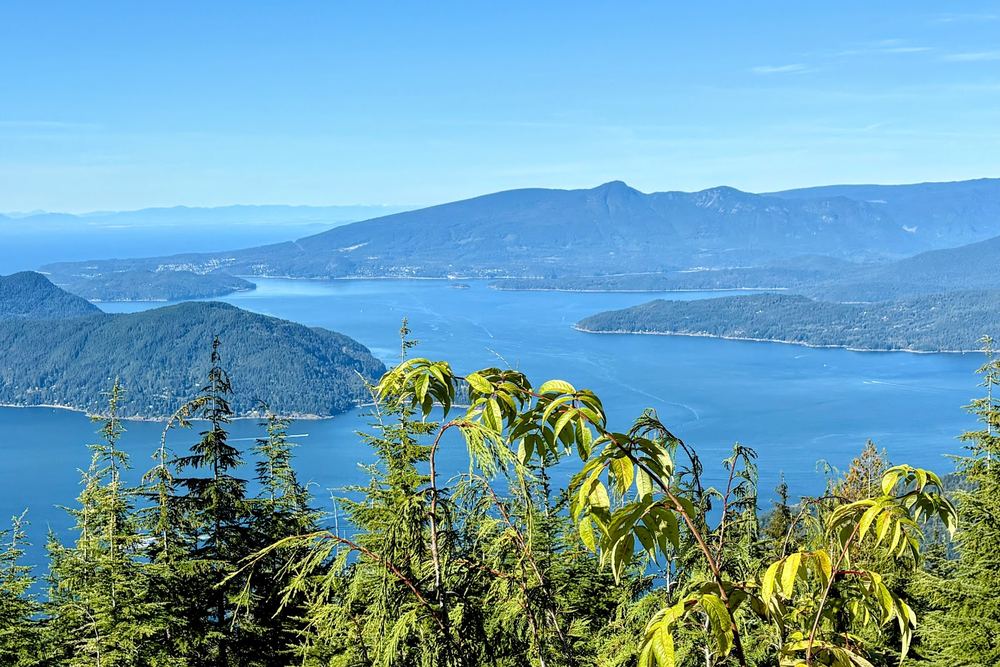 Bowen Lookout