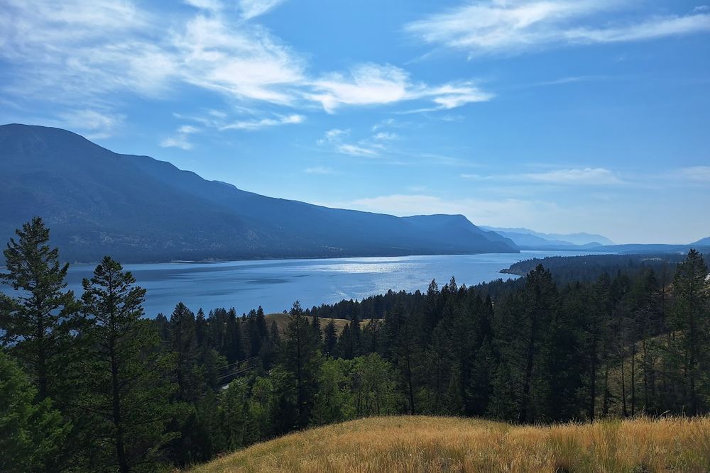 Columbia Lake View Point