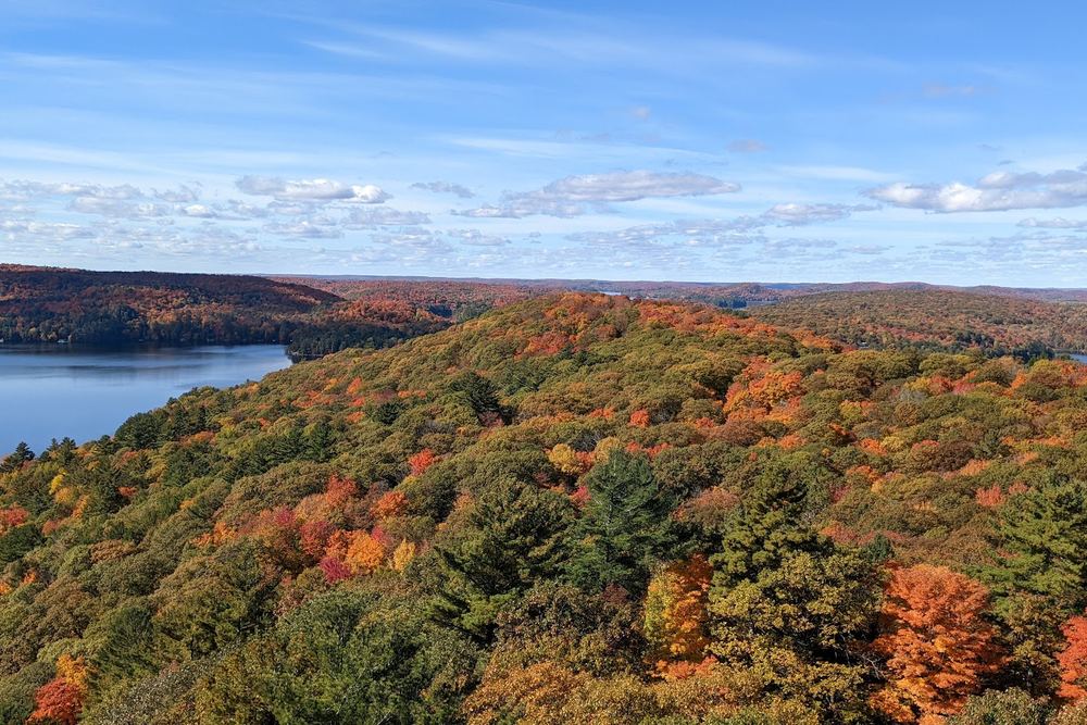 Dorset Lookout Tower