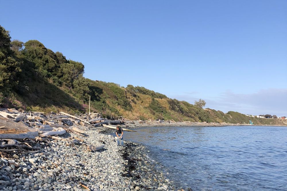Finlayson Point