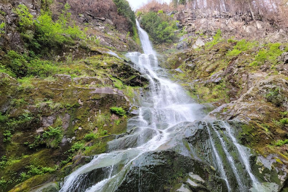 Flood Falls