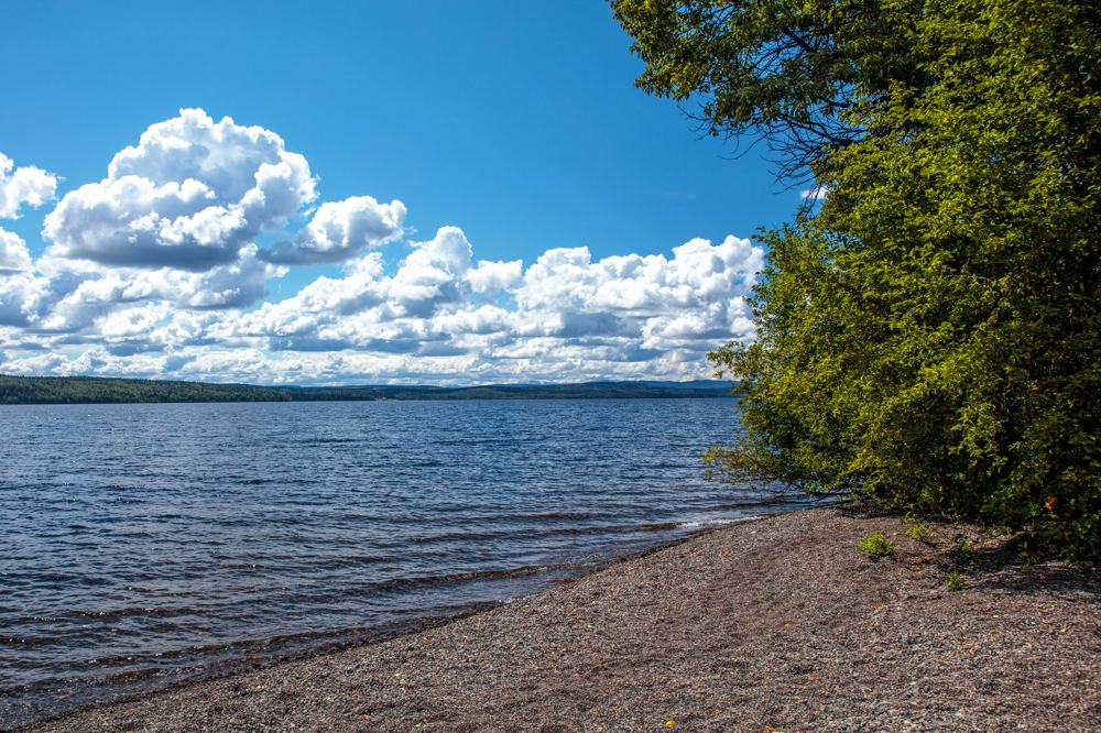 Sandy shore and open water on François Lake