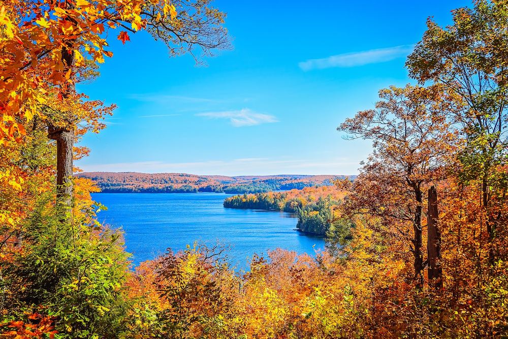 Hardwood Lookout Trail