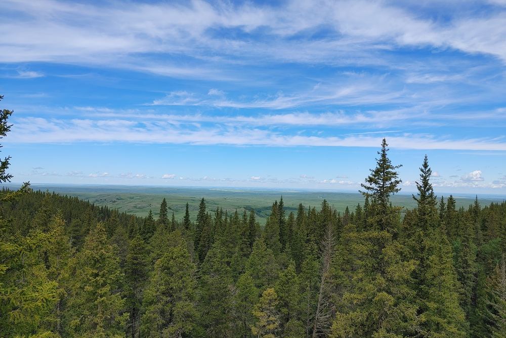 Horseshoe Canyon Lookout