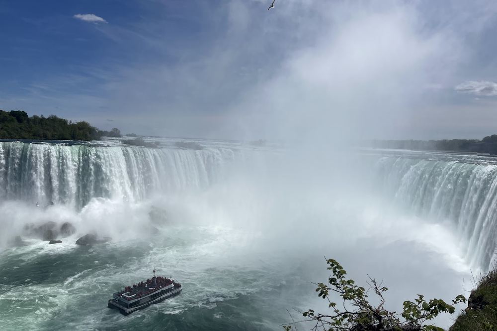 Horseshoe Falls Lookout