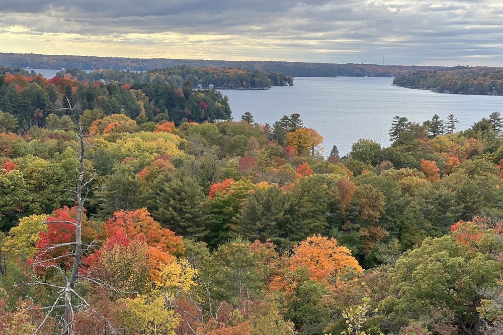 Huckleberry Rock Lookout Trail