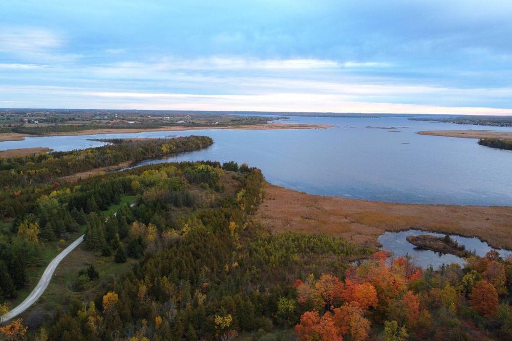 Ken Reid Conservation Area