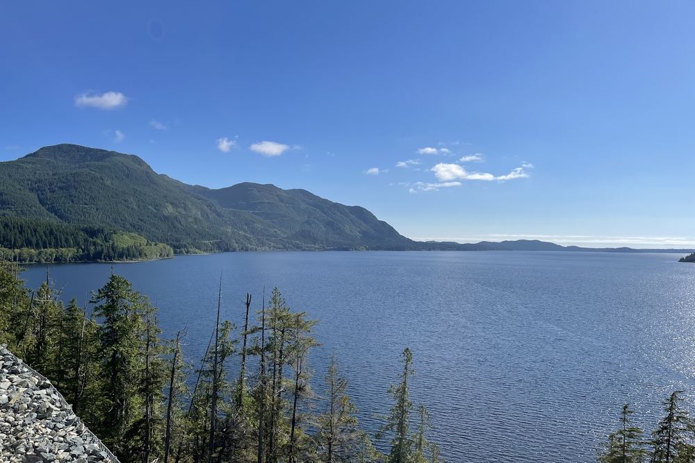 Kennedy Lake Lookout