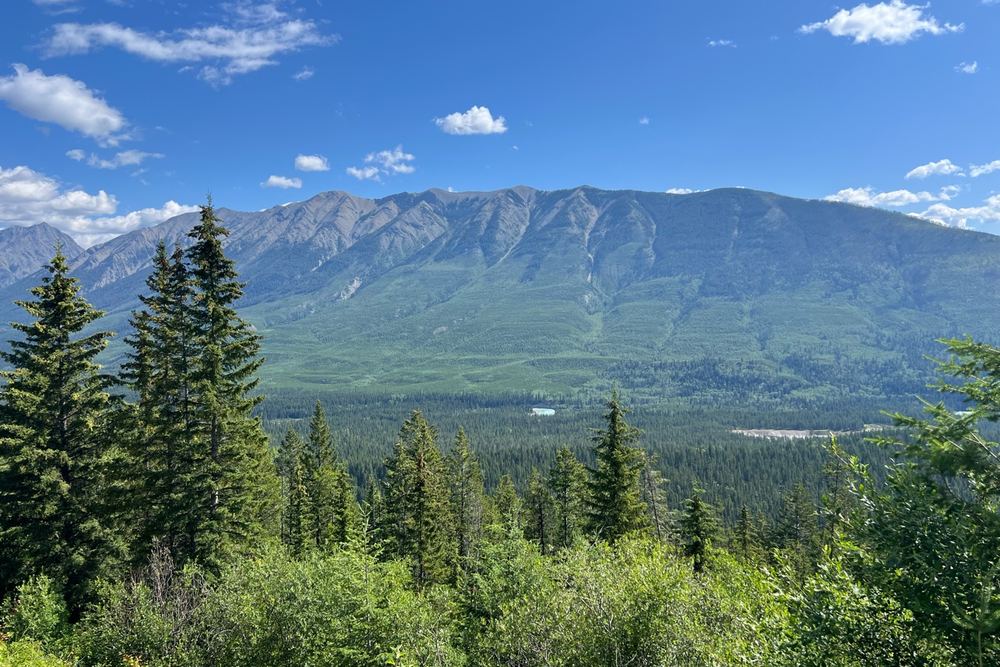 Kootenay Valley viewpoint