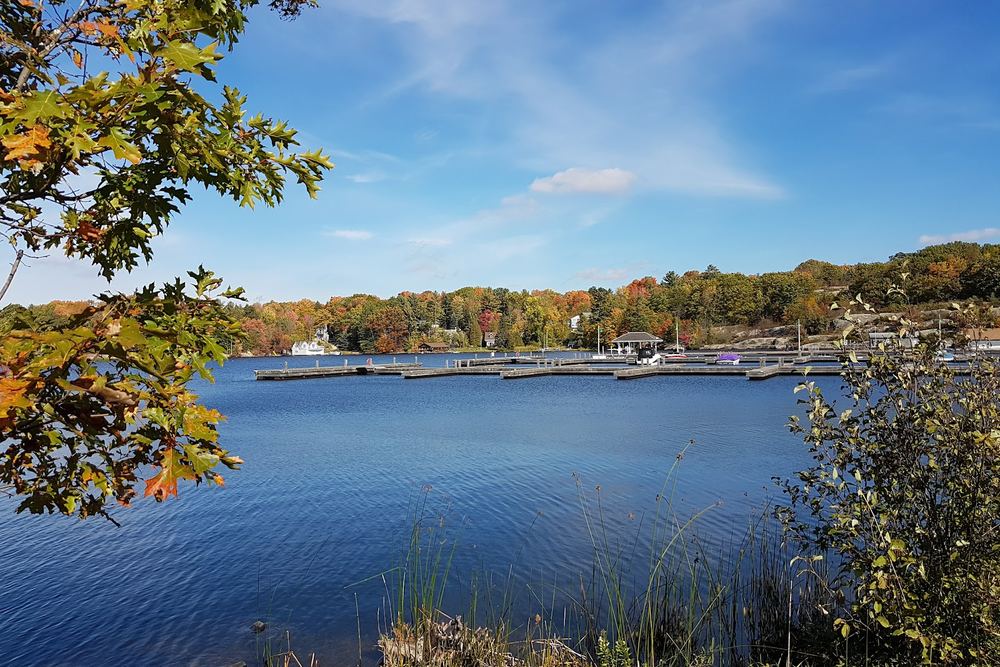Lookout Park