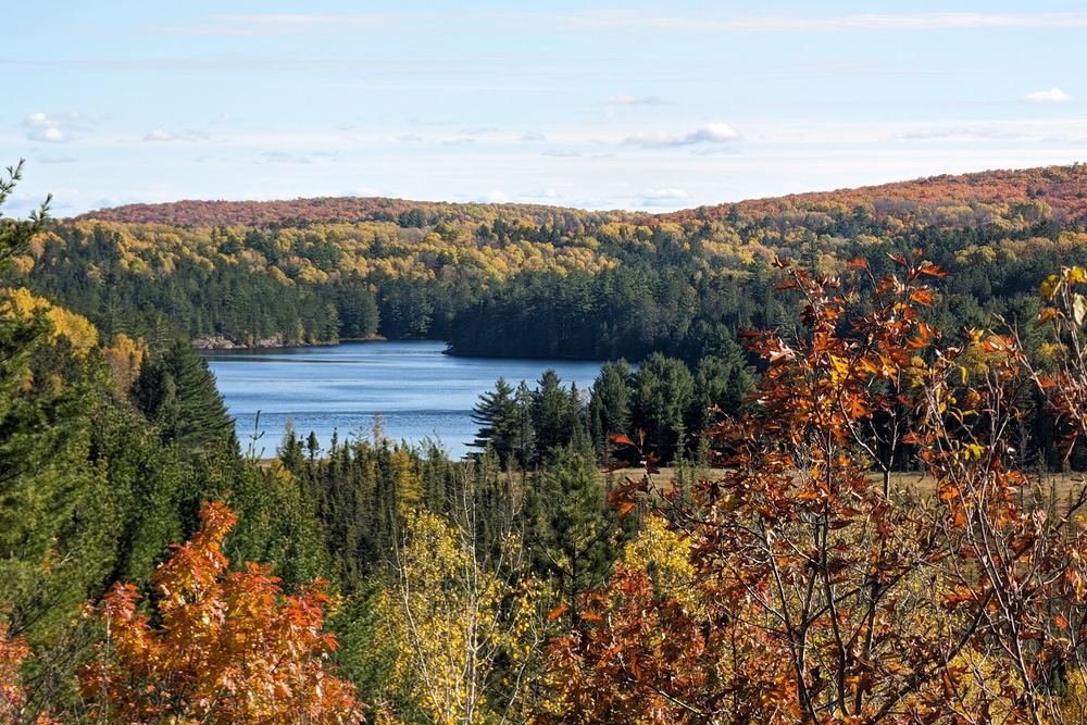 Lookout Trail