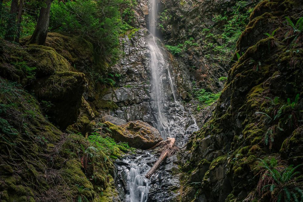 Lupin Falls Trailhead
