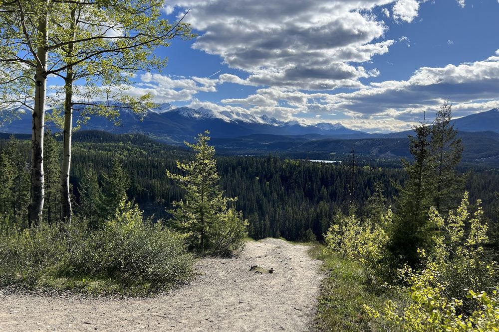 Maligne Lookout